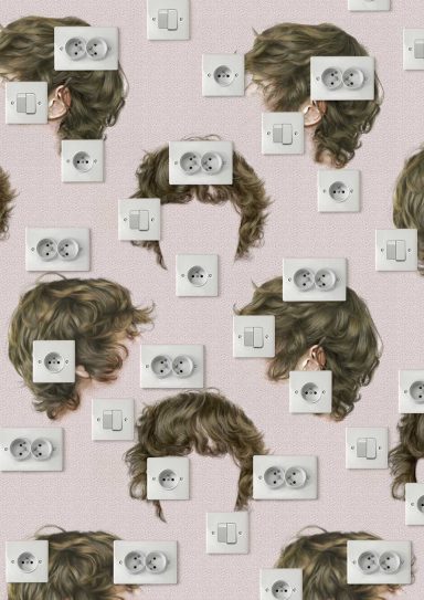 Prises et interrupteurs avec cheveux, 2012